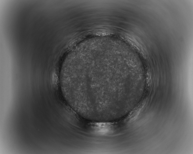 X0000093460371200711091554