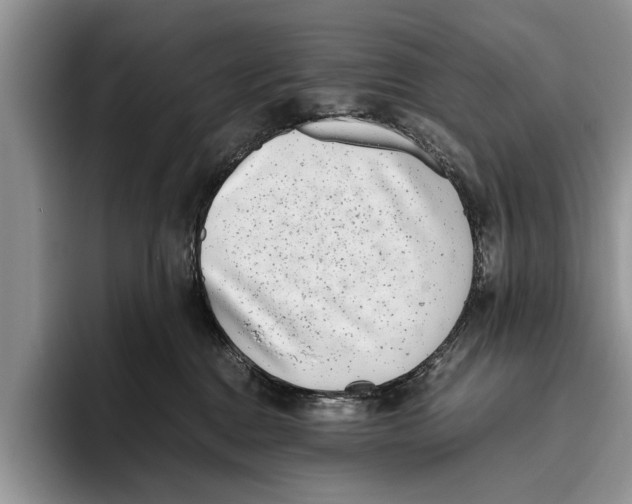 X0000093460376200711091554