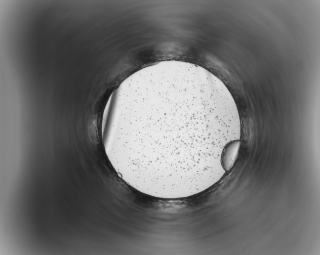 X0000093460378200711091554