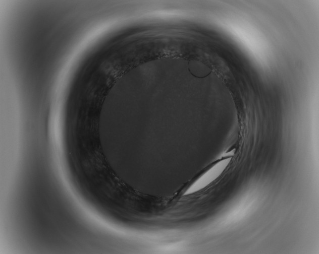 X0000093460383200711091554