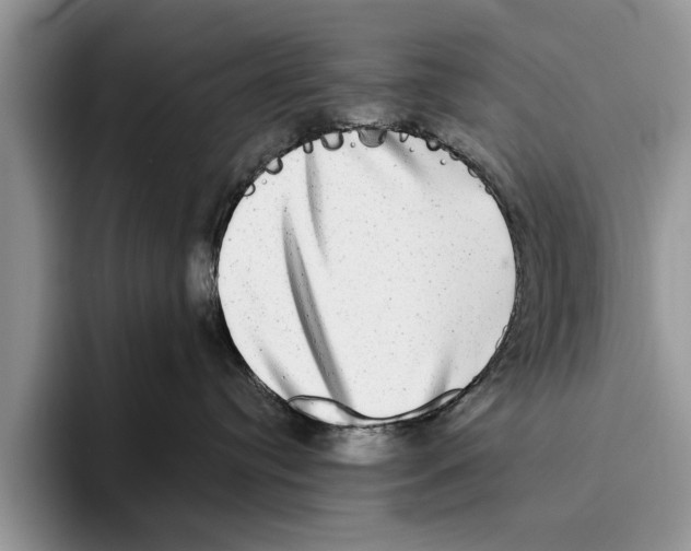 X0000093460384200711091554