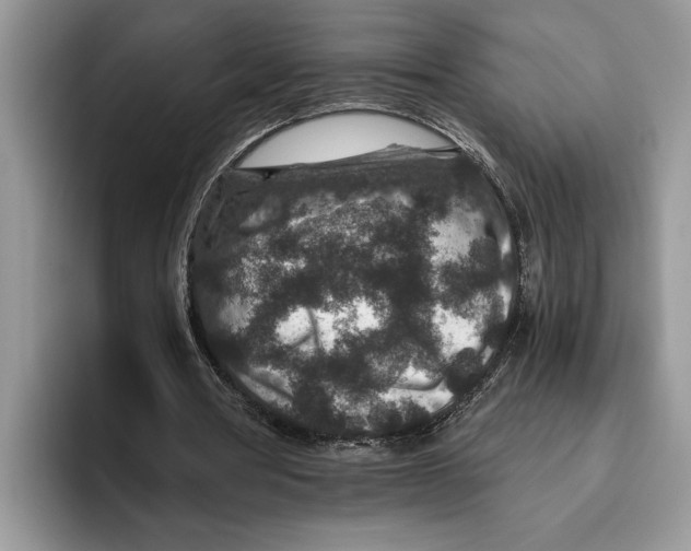 X0000093460386200711091553
