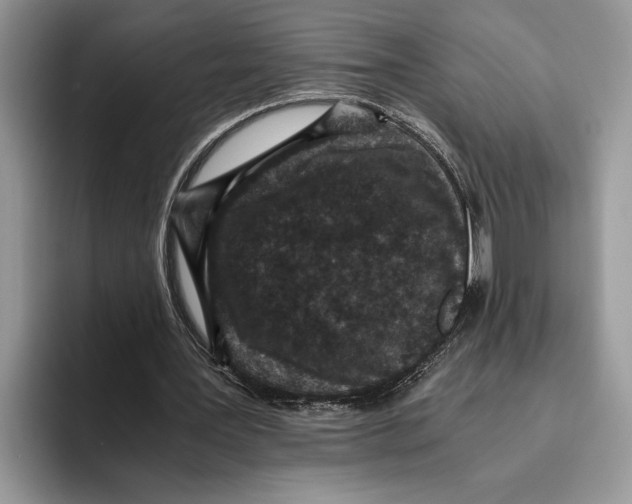 X0000093460387200711091553