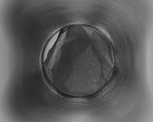 X0000093460389200711091553