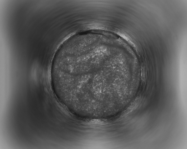 X0000093460390200711091553