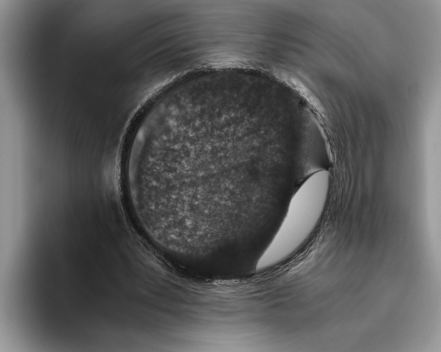 X0000093460391200711091553