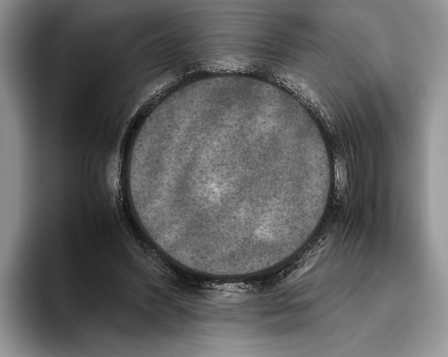 X0000093460396200711091553