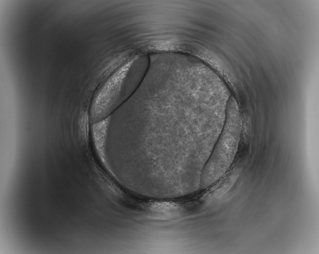 X0000093460397200711091553