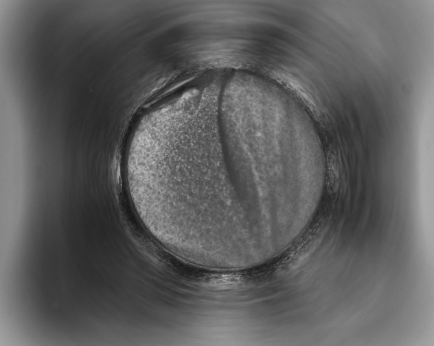 X0000093460398200711091553