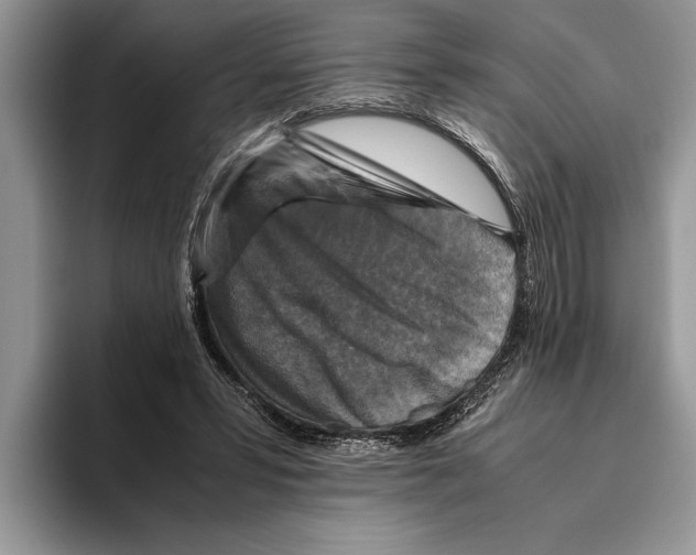 X0000093460399200711091553