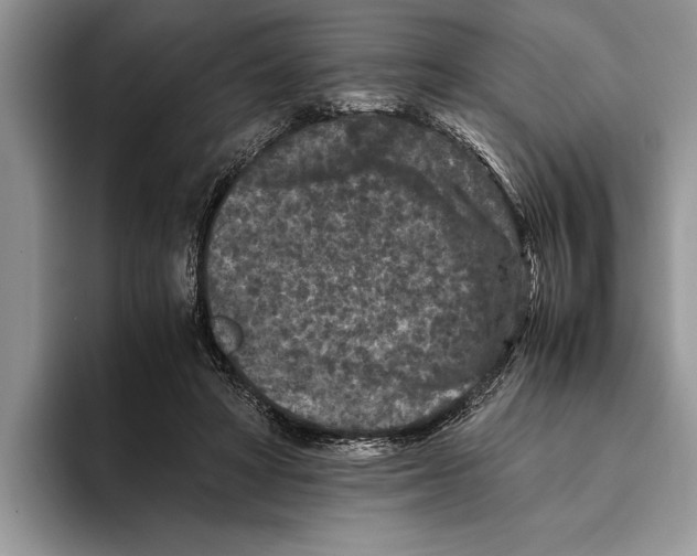 X0000093460402200711091553