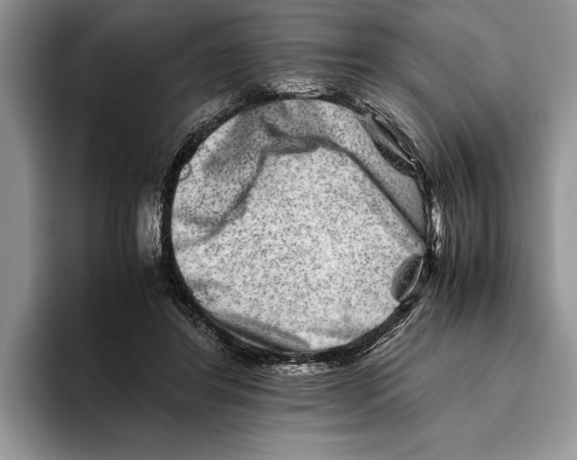 X0000093460404200711091553