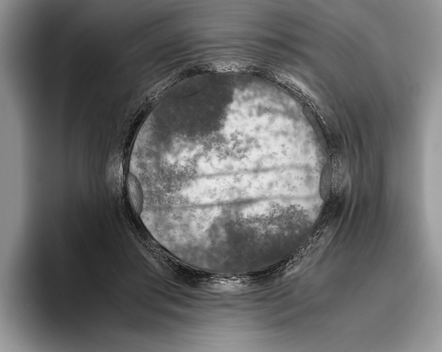 X0000093460405200711091553