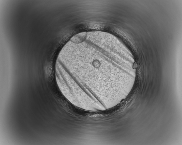 X0000093460407200711091553