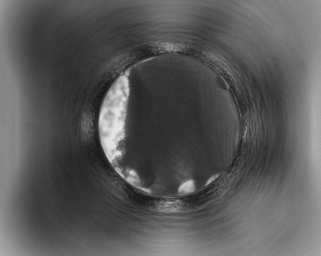 X0000093460410200711091553
