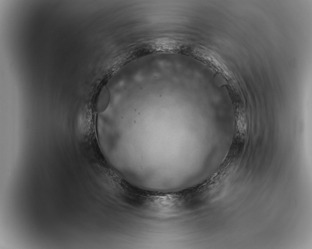 X0000093460411200711091553