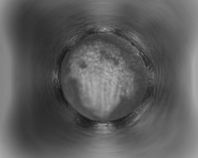 X0000093460415200711091553