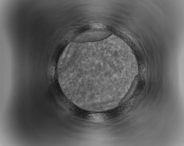 X0000093460417200711091553