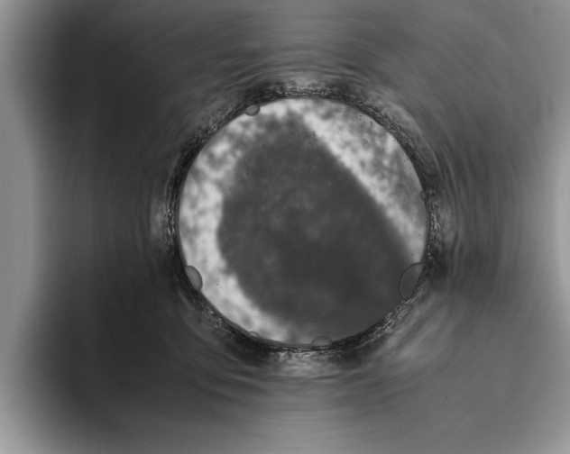 X0000093460419200711091553