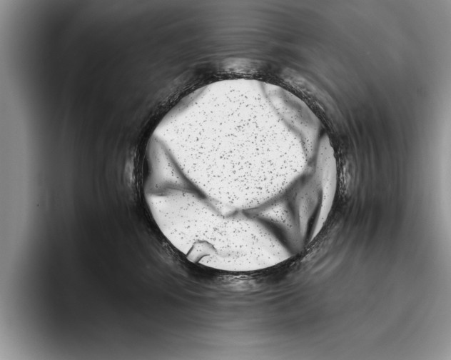 X0000093460424200711091553