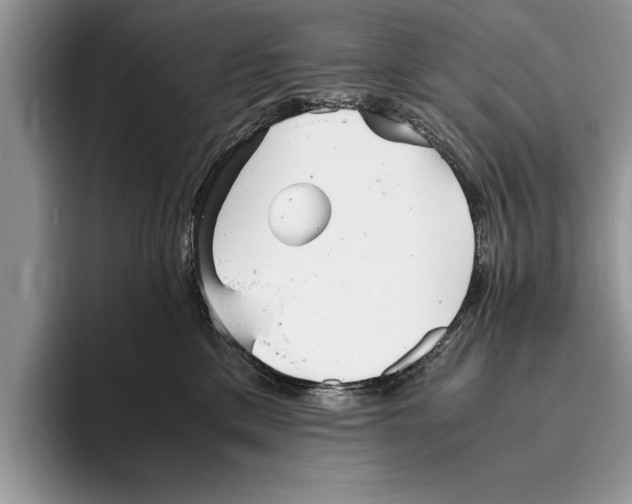 X0000093460425200711091553