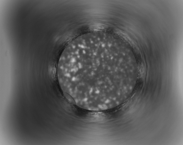 X0000093460427200711091553