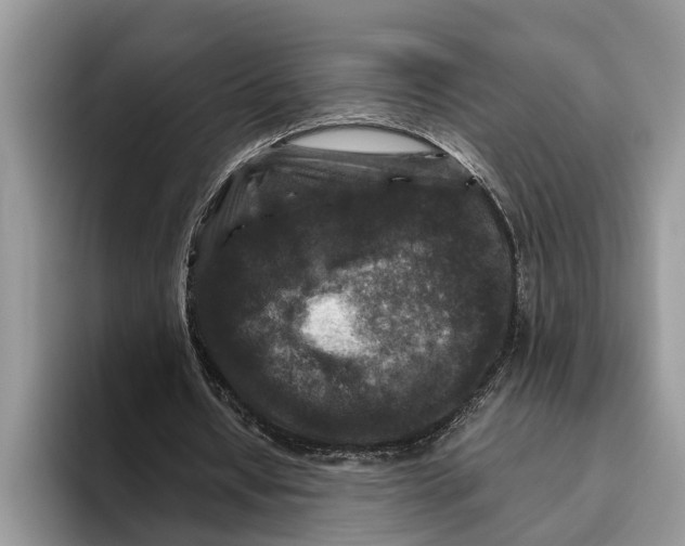X0000093460434200711091552