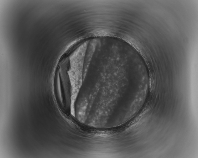 X0000093460438200711091552