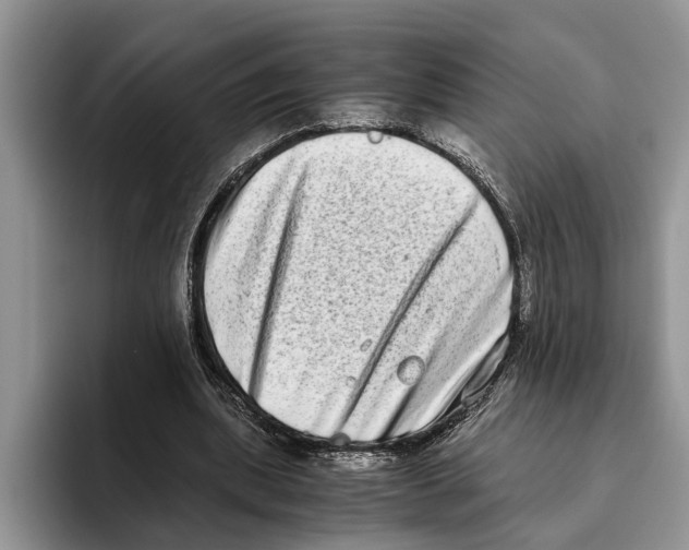 X0000093460439200711091552