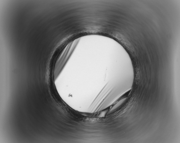 X0000093460440200711091552