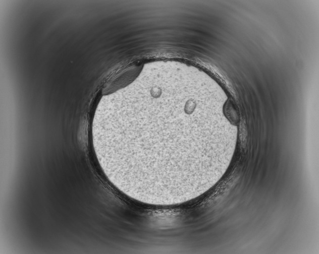 X0000093460445200711091552