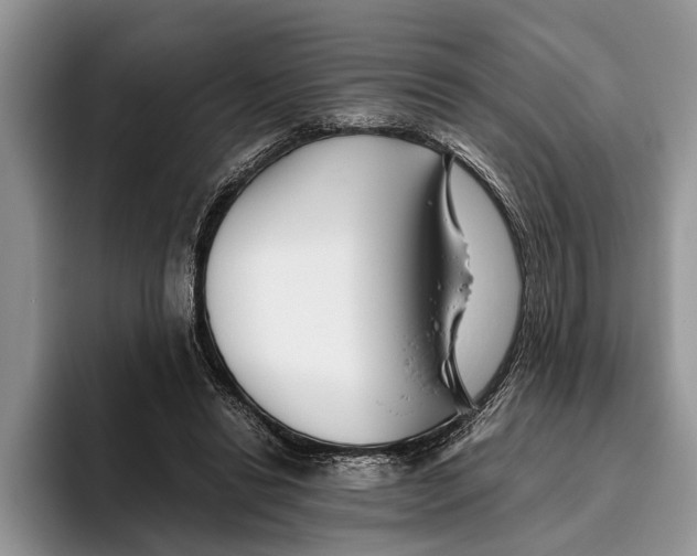 X0000093460446200711091552