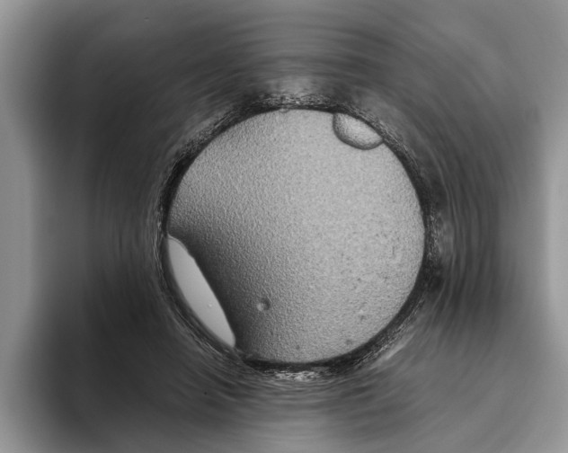 X0000093460450200711091552