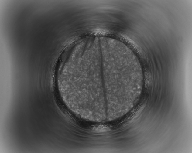 X0000093460451200711091552