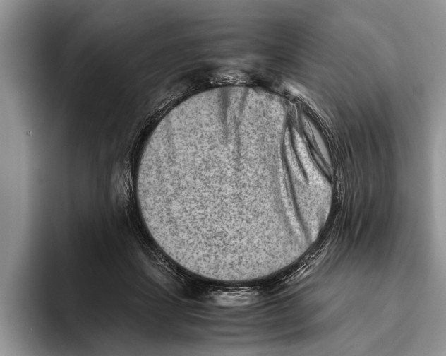X0000093460459200711091552