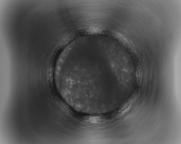 X0000093460462200711091552