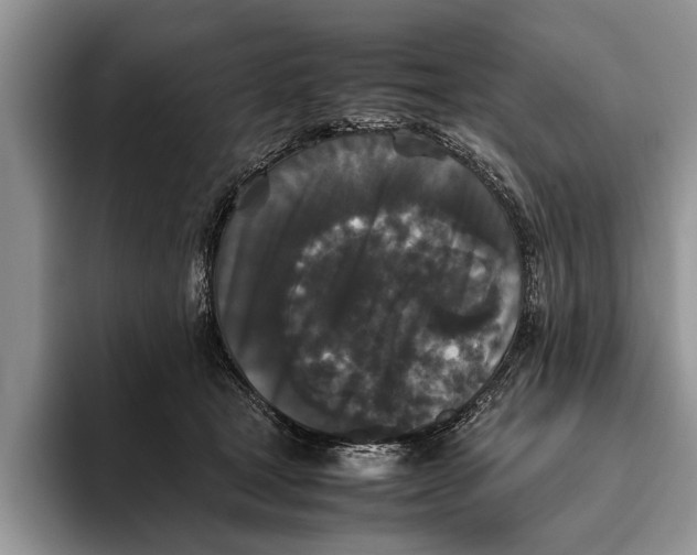 X0000093460465200711091552