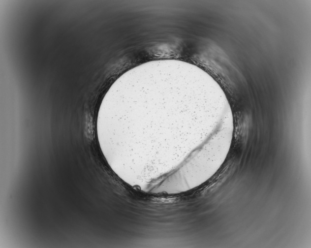 X0000093460469200711091552