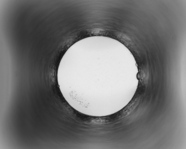 X0000093460470200711091552