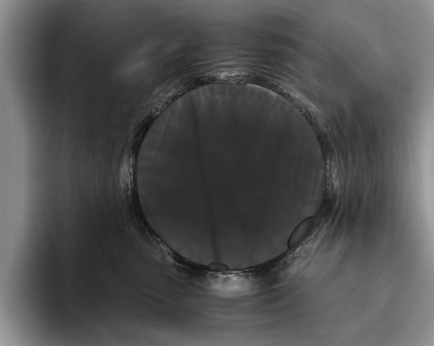 X0000093460475200711091552