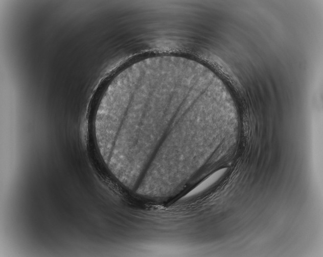 X0000093460488200711091552