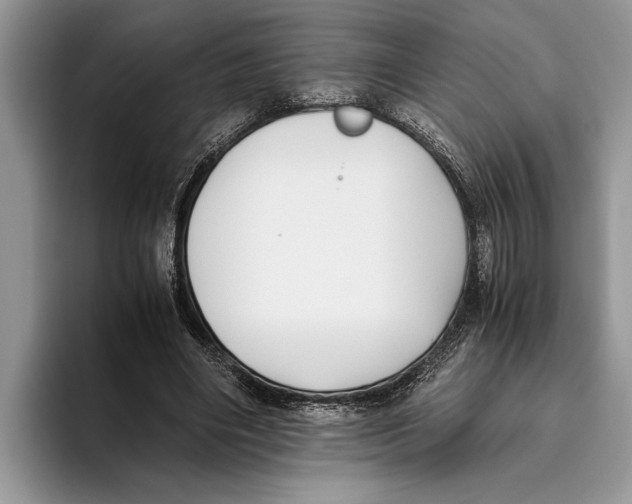 X0000093460490200711091552