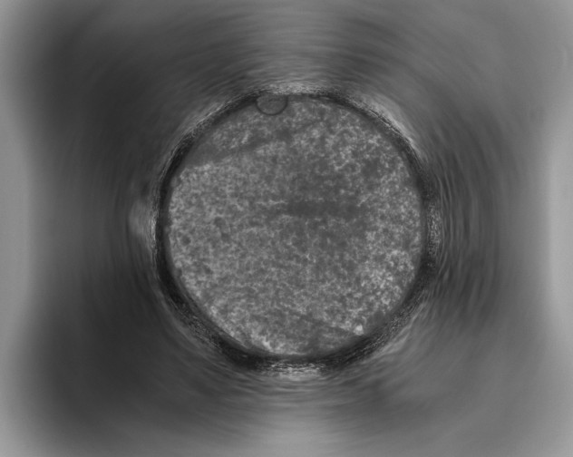 X0000093460491200711091552