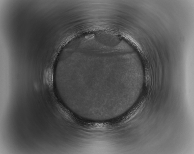 X0000093460493200711091552
