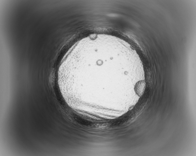 X0000093460495200711091552