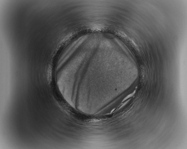 X0000093460496200711091552
