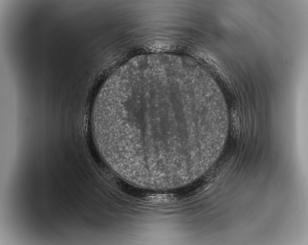 X0000093460499200711091552