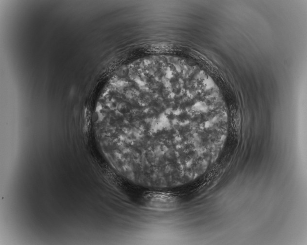 X0000093460507200711091552