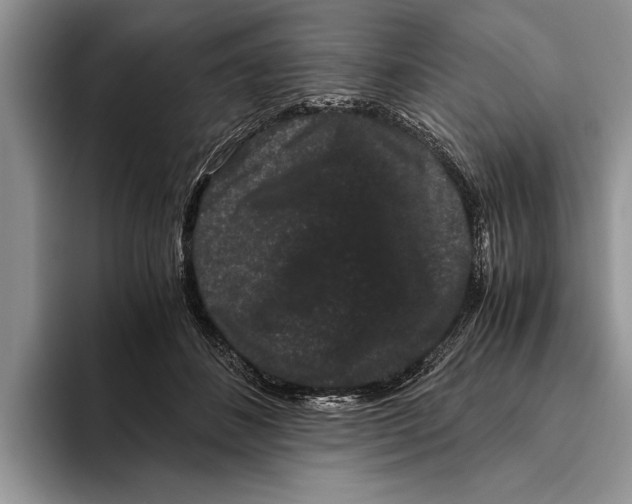 X0000093460508200711091552