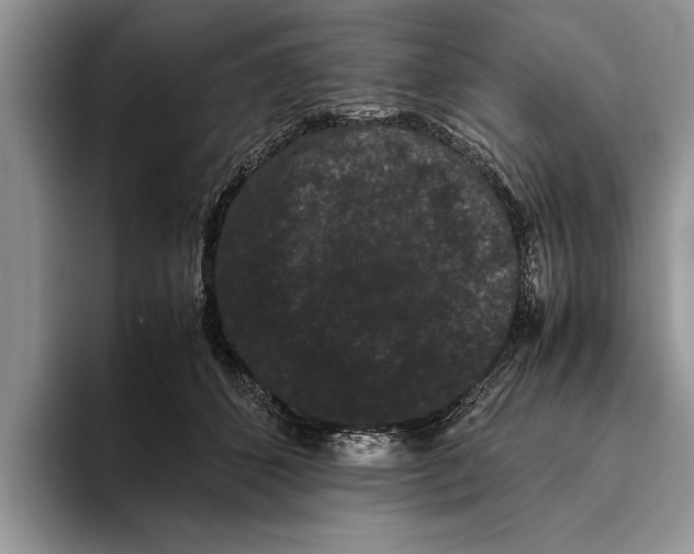 X0000093460512200711091552